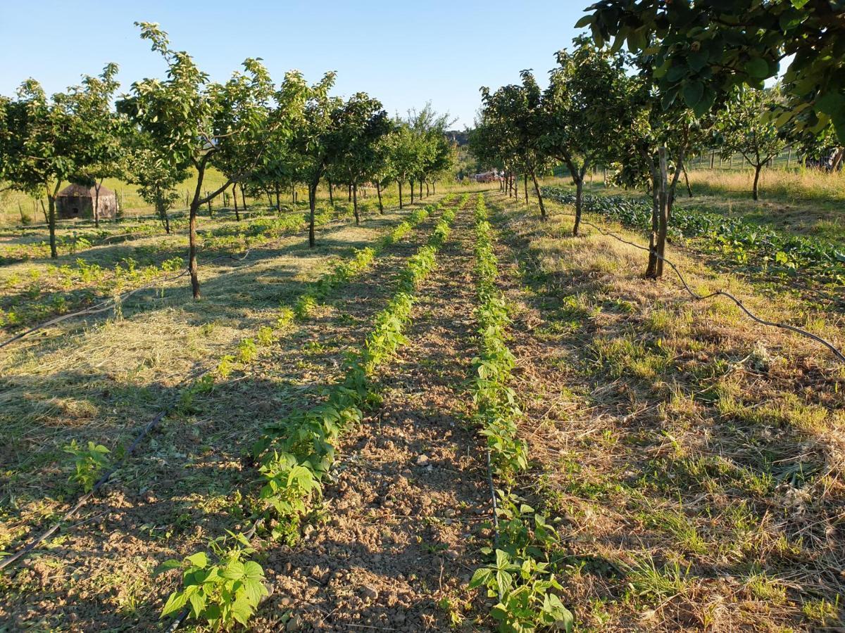 Fattoria Di Maiano Vendégház Fiesole Kültér fotó