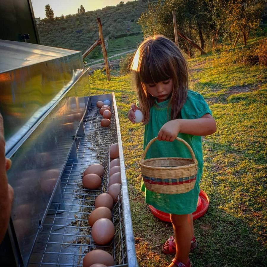 Fattoria Di Maiano Vendégház Fiesole Kültér fotó
