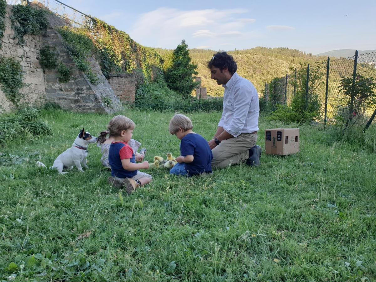 Fattoria Di Maiano Vendégház Fiesole Kültér fotó