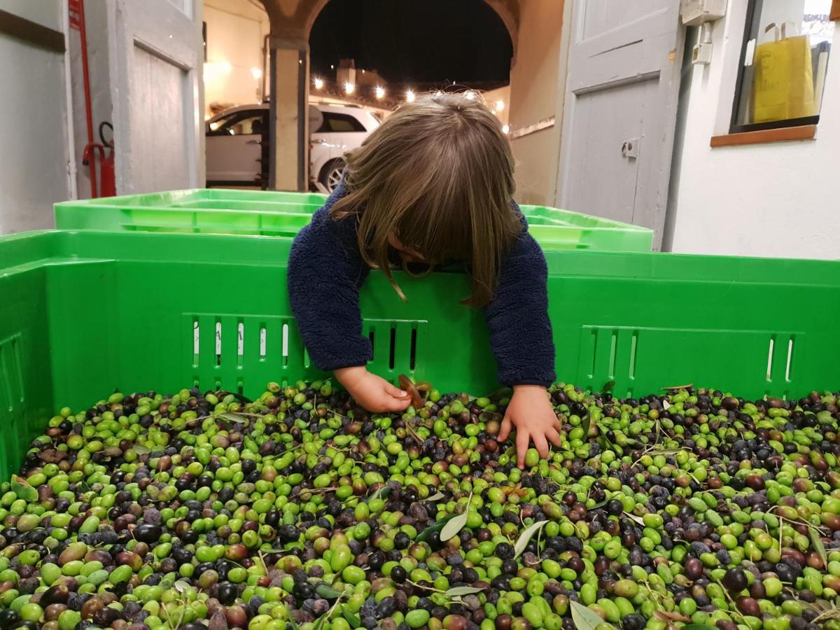 Fattoria Di Maiano Vendégház Fiesole Kültér fotó