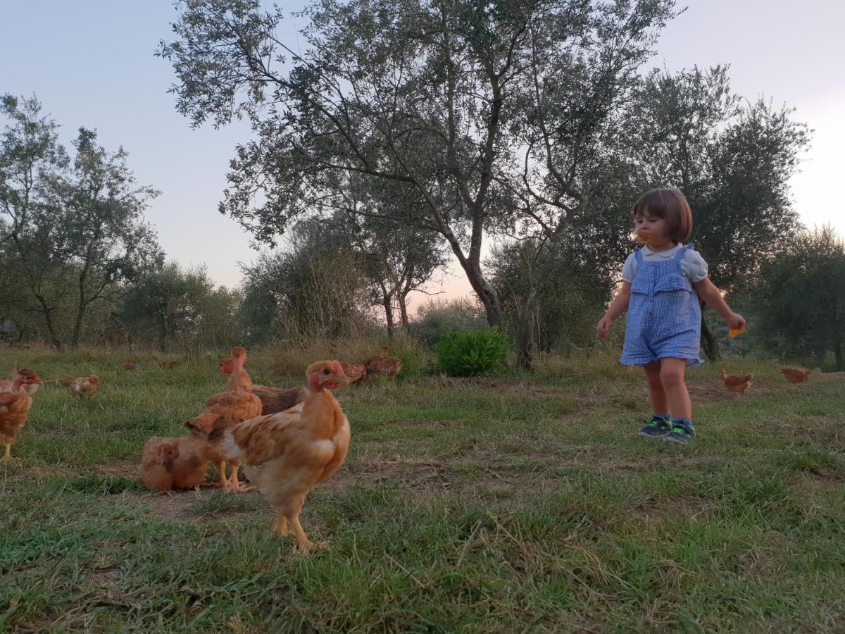 Fattoria Di Maiano Vendégház Fiesole Kültér fotó